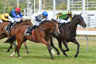 Nicoletta picks up 6 points in the NZB Filly of the Year. Photo: Race Images, Palmerston North.